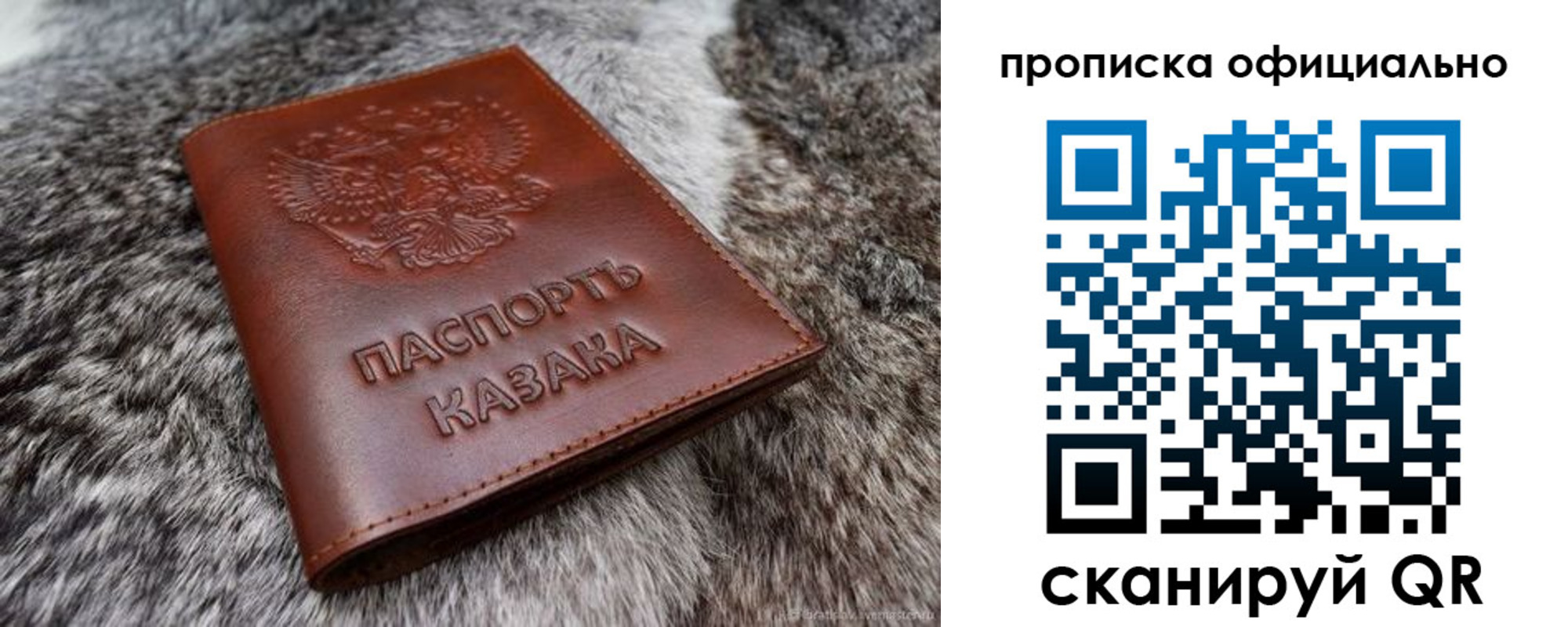 где прописаться в Большом Камне